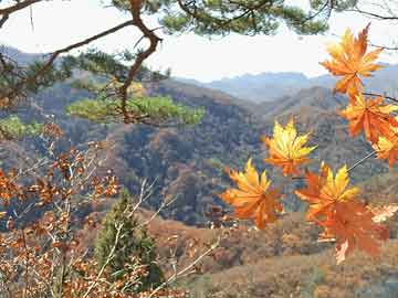 洪荒战神 幽明盘古（幽明跟盘古有什么渊源）