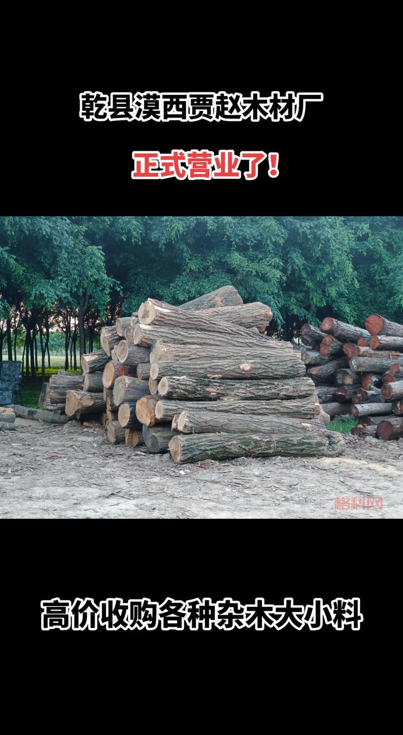 猫头鹰和灯塔伐木攻略：掌握完美砍树技巧，轻松获取高品质木材！