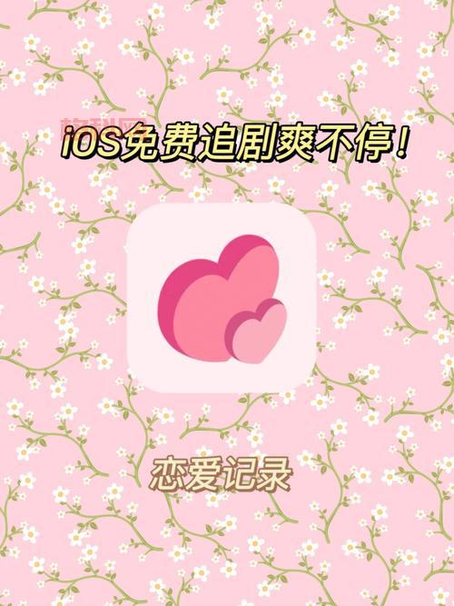 美家市场：电视应用市场新贵，追剧看电影必备！