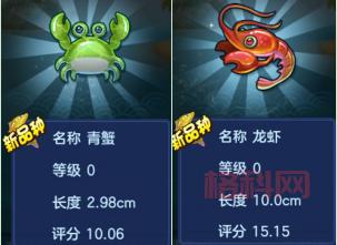 神武钓鱼等级提升攻略：快速升级，轻松获得钓鱼称号！
