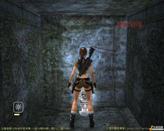古墓丽影7秘籍：揭秘隐藏代码，解锁游戏新玩法！