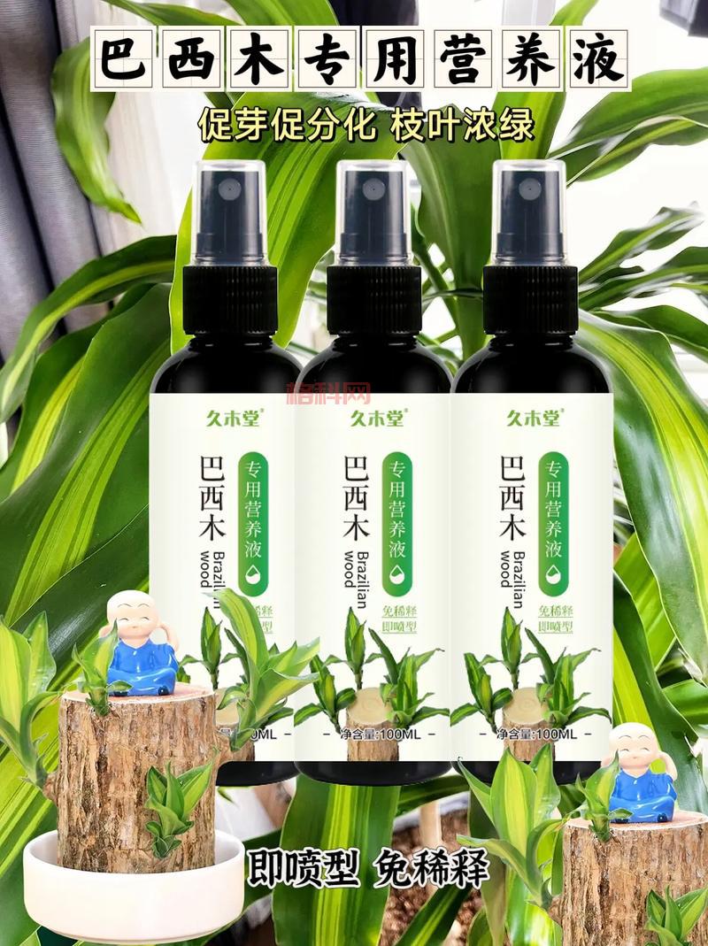 WOW挖矿必备技巧：快速升级至375的秘密武器