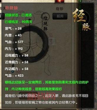 九阴真经唐门经脉：阳经阴经详解，打造你的专属流派