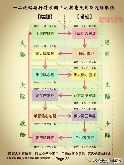 九阴真经唐门经脉：阳经阴经详解，打造你的专属流派