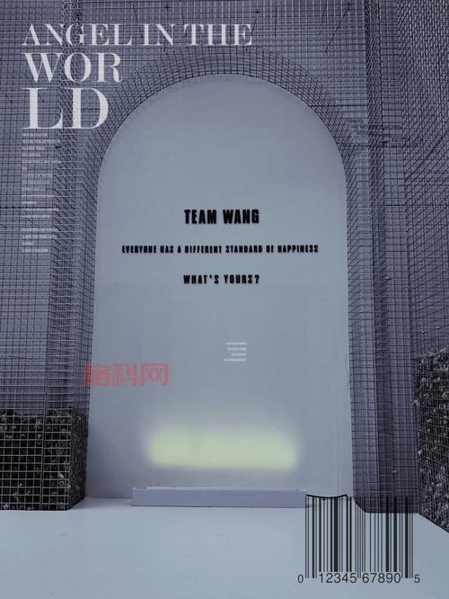 姚公白《Wang You》：古琴艺术的精髓