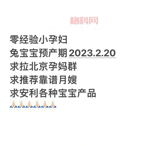 怀孕游戏合集：从备孕到生产，感受孕育的奇妙旅程！