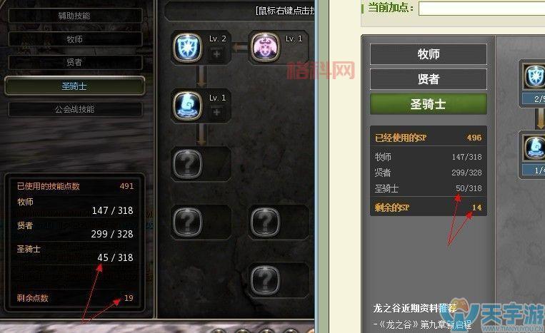 龙之谷圣骑士PVP加点推荐：技能搭配技巧详解