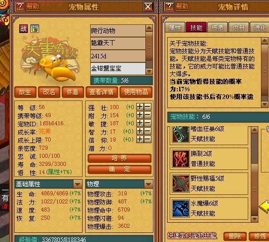 天书奇谈刺客加点全方位解析：攻击、防御、速度平衡