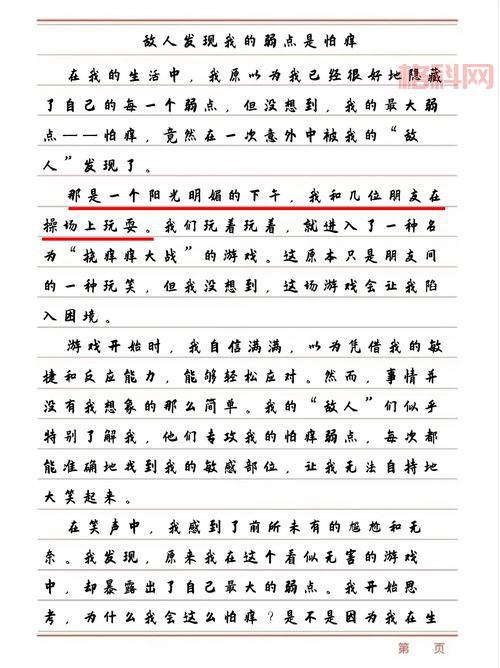 武士2复仇攻略：黑船战术、敌人弱点全解析！
