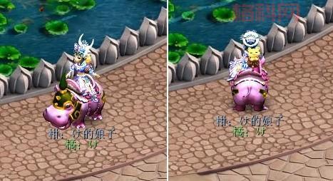 梦幻西游种族坐骑：提升战斗力必备神器