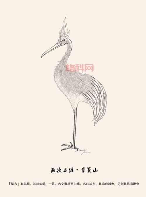 梦幻诛仙焚香天书星魂详解：金乌还是毕方，哪种线路更强？