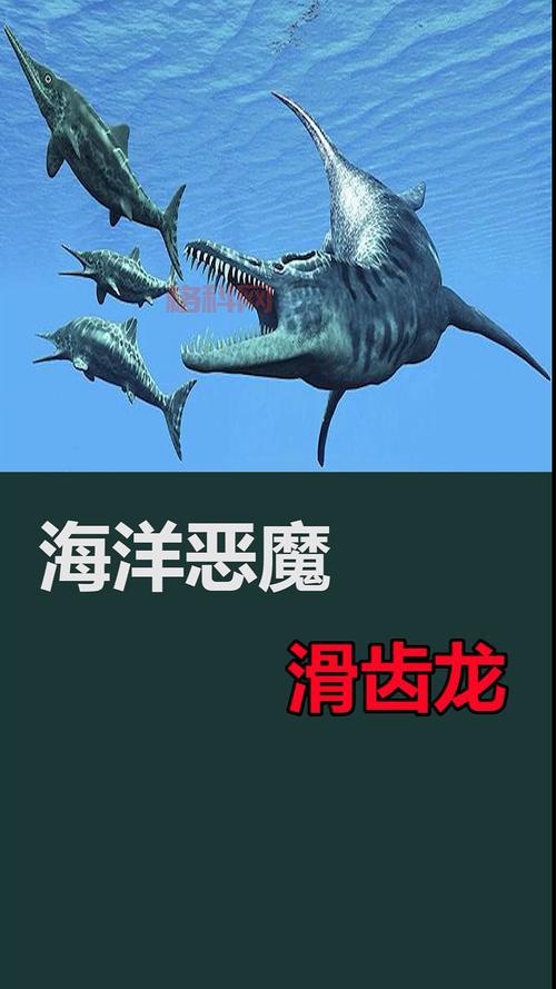 滑齿龙是恐龙吗？探究侏罗纪短颈海洋爬行动物