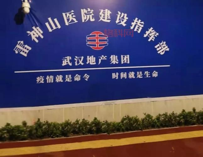 武汉雷神山医院背后的传奇故事与重生