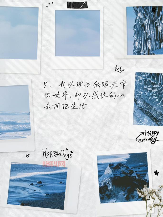 宋青书的囧囧反抗之旅：探寻侠义与情感的挣扎