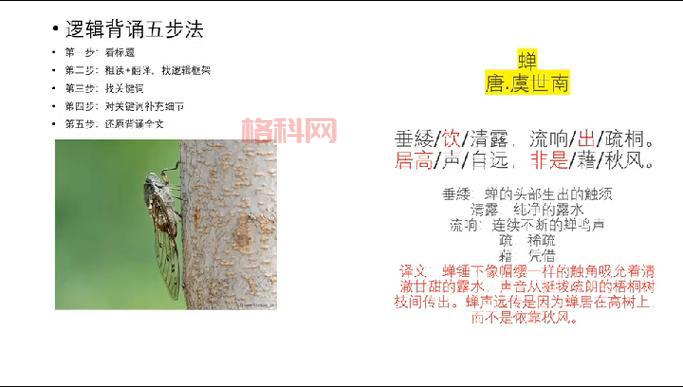 婵的古诗怎么念？唐代经典〈蝉〉拼音注解