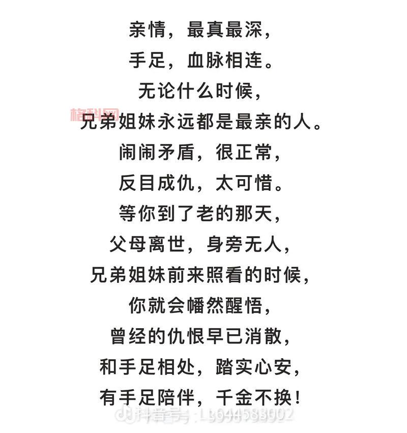 汉之云剧情解析：兄弟情深与魔幻之战的史诗传奇