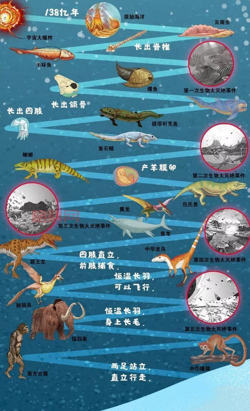 从宇宙诞生到地球形成：地球的由来全揭秘