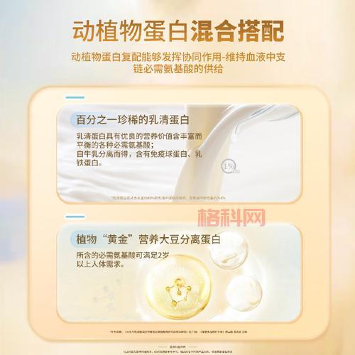 乳清是什么？深入了解乳清的来源、营养与健康益处