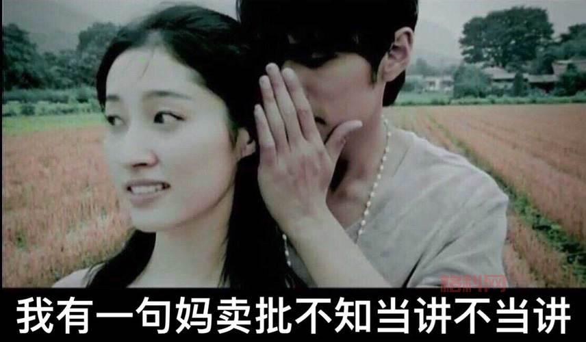我有一句妈卖批不知当讲不当讲：流行语的四川方言根源