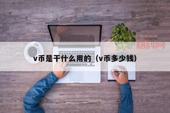 V币是什么？了解V币的功能及其使用场景