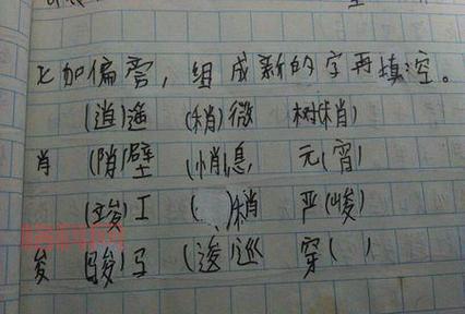 博组词语大全：探索“博”字的丰富内涵
