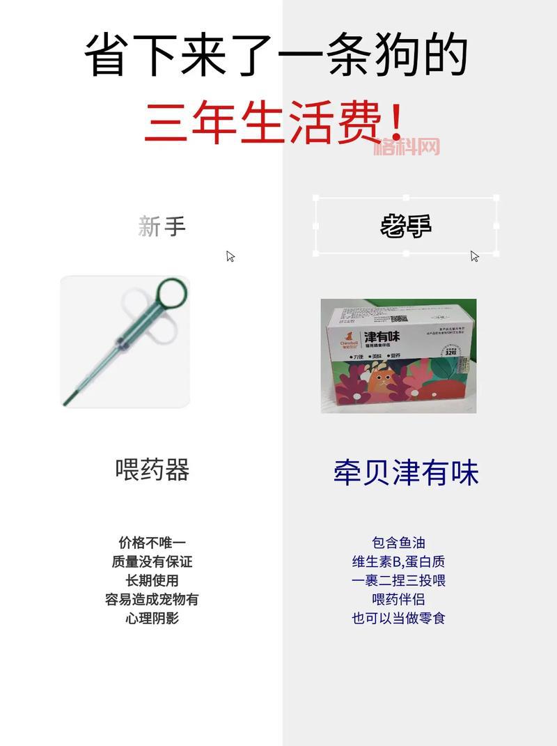 Inside游戏攻略大全：新手老手必备通关秘籍