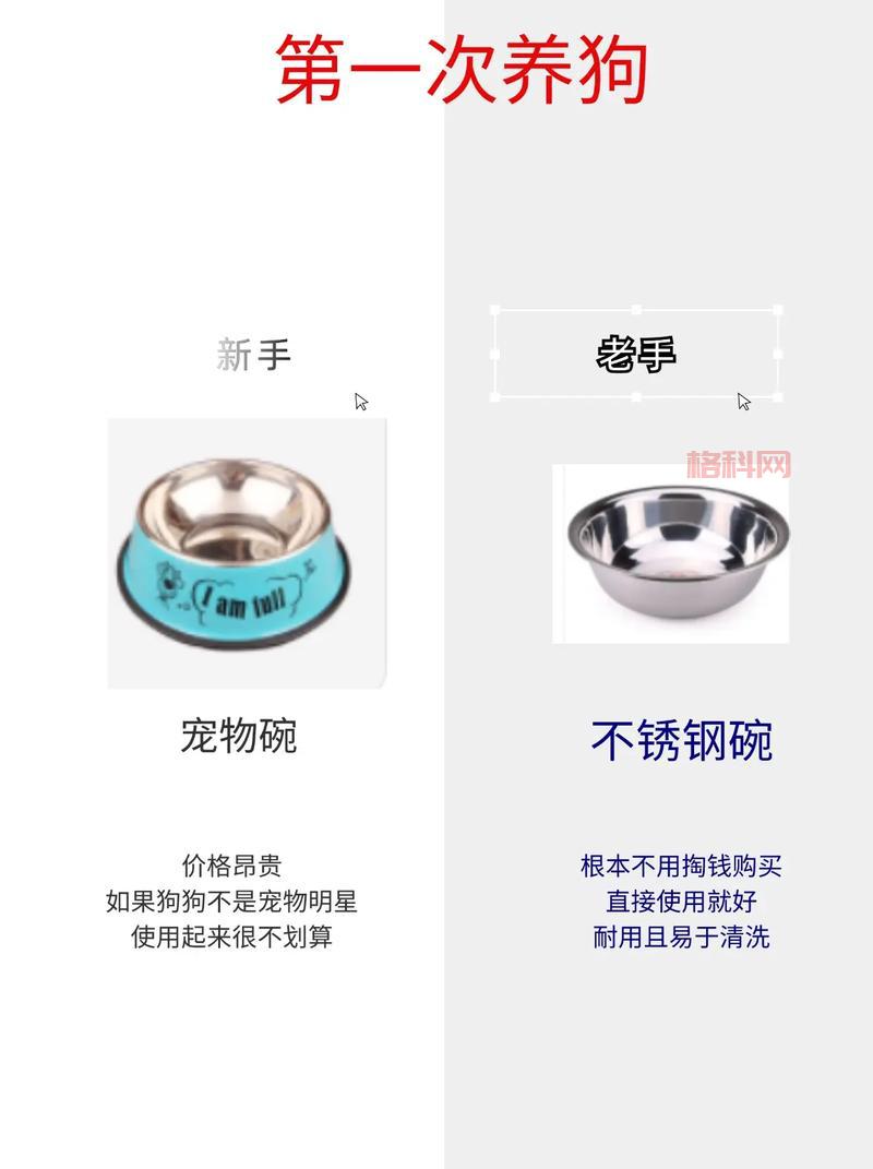 Inside游戏攻略大全：新手老手必备通关秘籍