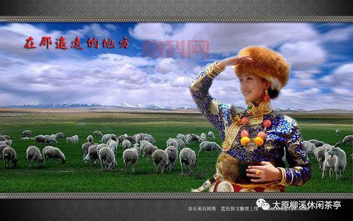 刘和刚与阿鲁阿卓：在那遥远的地方原唱对比