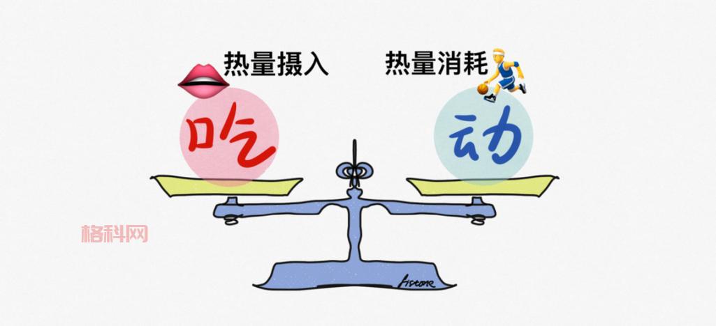为什么站着更耗费体力？揭开站立背后的能量消耗秘密