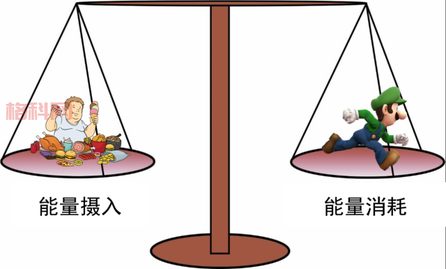 为什么站着更耗费体力？揭开站立背后的能量消耗秘密