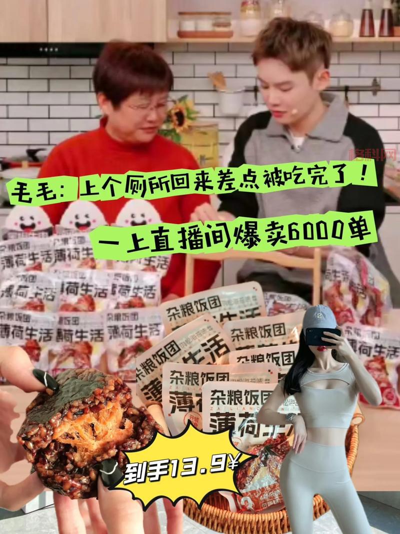 真三饭团怎么玩？新手必备攻略与技巧指南