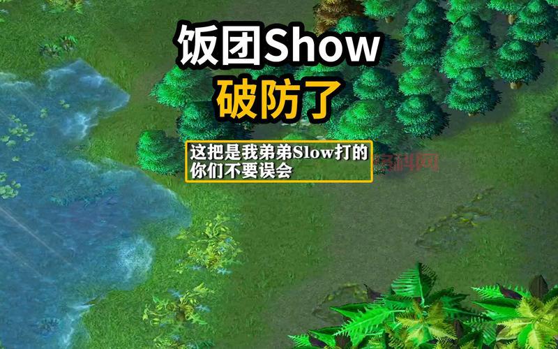 真三饭团怎么玩？新手必备攻略与技巧指南