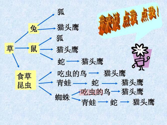 什么是食物链？探索生物如何通过食物相互联系