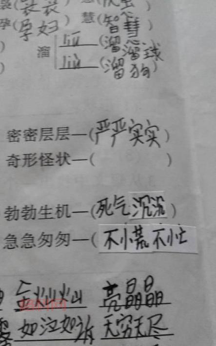 办法的近义词是什么？详细解析及示例