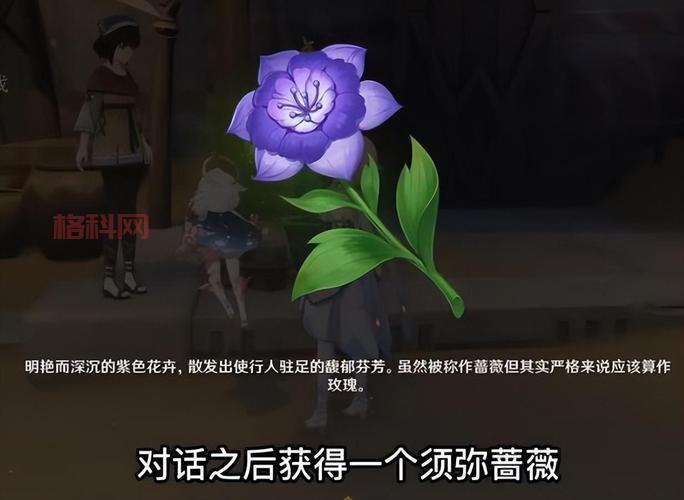 奇点攻略