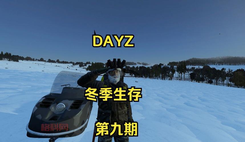 末日的回响：挑战末日世界的冒险之旅