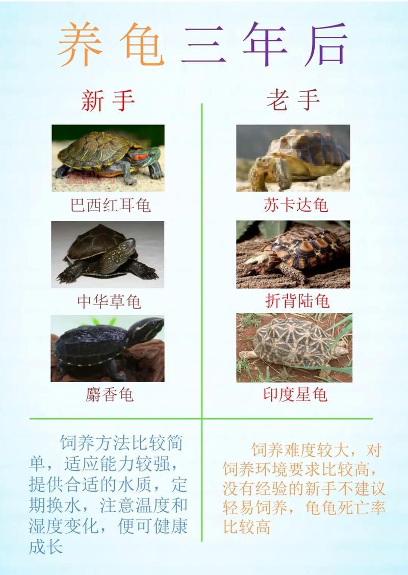 暗黑血统2技能搭配推荐，新手老手都适用的最强技能加点！