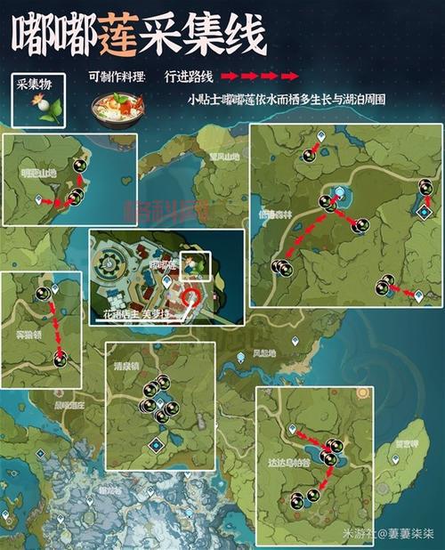 劫波莲在哪里？原神须弥特产采集详解