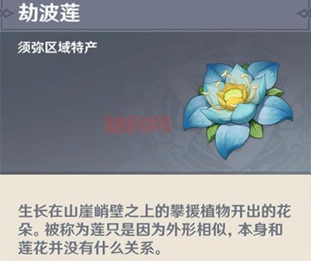 劫波莲在哪里？原神须弥特产采集详解