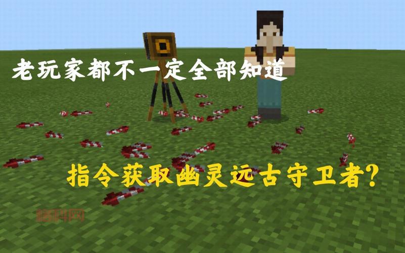 想玩远古守卫者幽灵？这篇新手入门攻略必看！