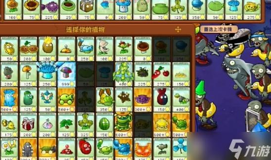 灵活排位模式全解：打造最佳游戏体验与策略攻略