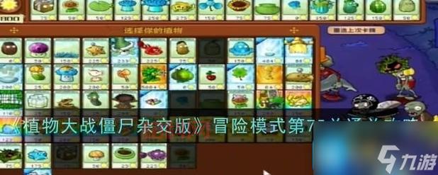 灵活排位模式全解：打造最佳游戏体验与策略攻略