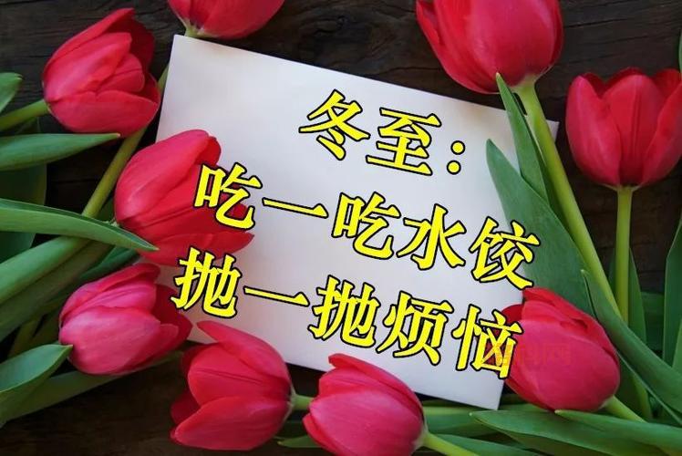 冬至吉祥语精选：温暖祝福伴您一整个寒冬！