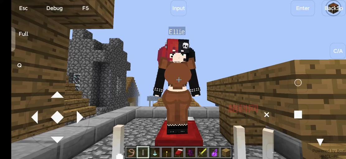 minecraft珍妮网站最新地址，点这里一键直达！