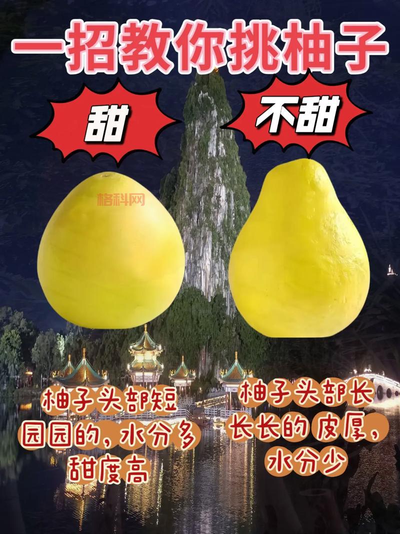 狂战士徽章镶嵌有啥技巧？大神教你几招！