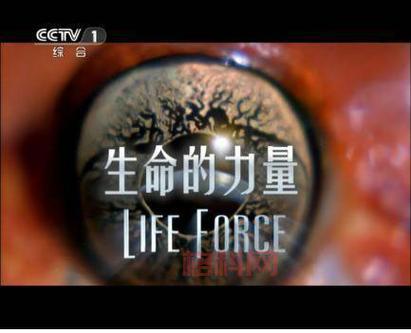 [然而生：在平凡中发现不凡的生命力量]
