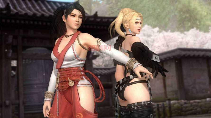 死或生5最后一战绅士mod合集，总有一款能满足你的需求