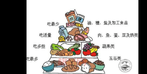 恩基爱厨艺与美食交流：打造健康荤素搭配饮食秘籍