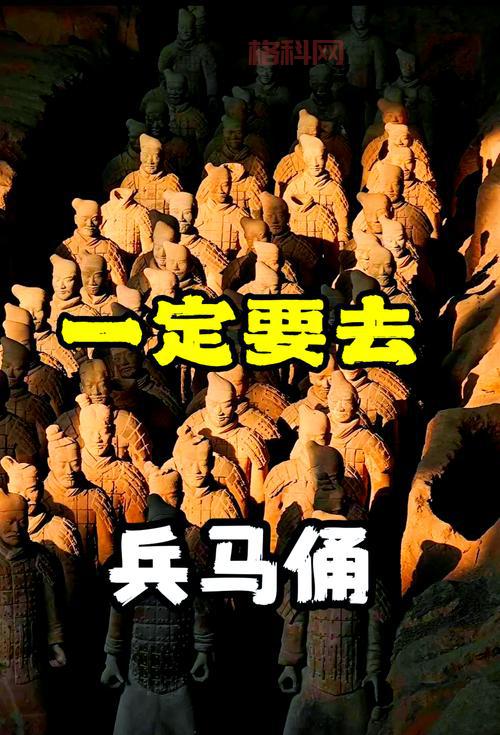 大唐怎么加点比较好？不同玩法加点大揭秘！