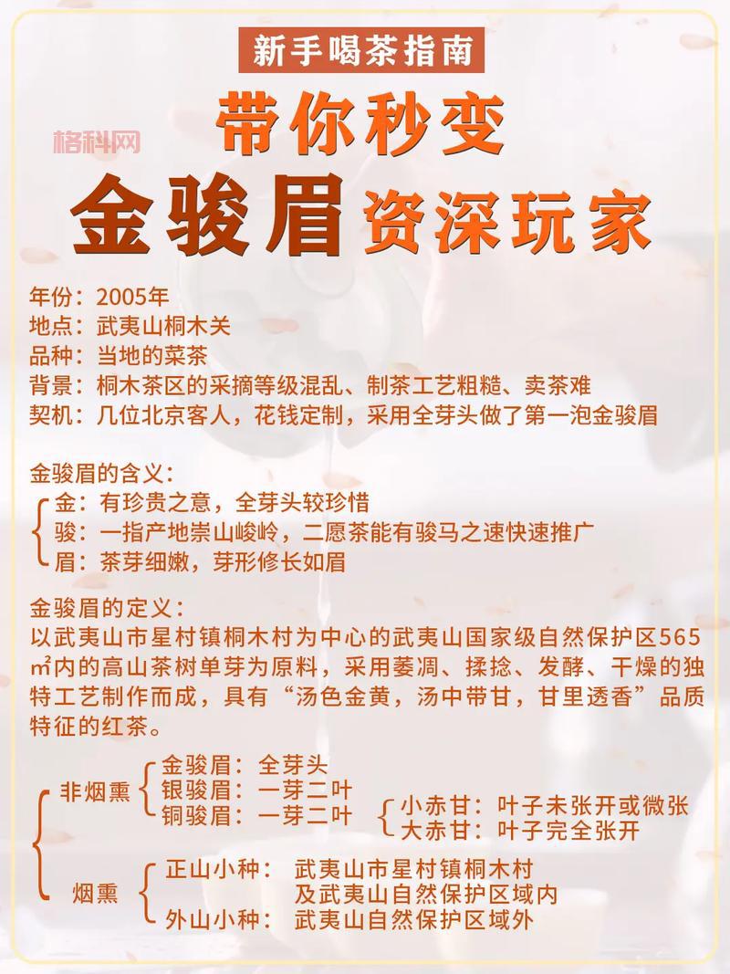 斗战神灵猴棍系加点2022详解，看完秒变大神！